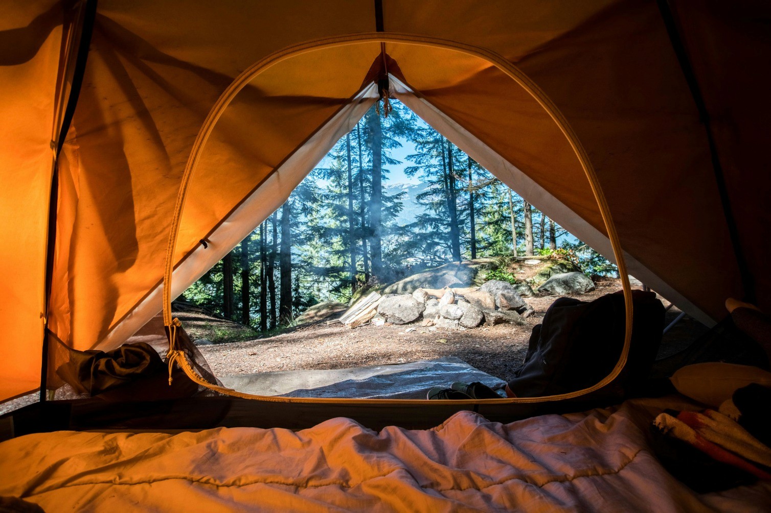 Vue sur une forêt depuis l'intérieur d'une tente